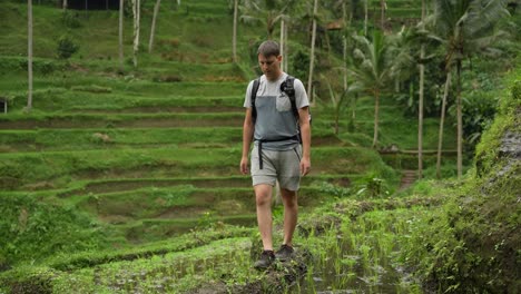 Junger-Kaukasischer-Mann,-Der-Auf-Der-Reisterrasse-Und-Den-Reisfeldern-Spaziert-Und-Sich-Umsieht-Und-Die-Umliegende-Grüne-Umgebung-In-Ubud,-Bali,-Indonesien,-Mit-Einer-Fototasche-Auf-Dem-Rücken-In-Shorts-Und-T-Shirt-Betrachtet