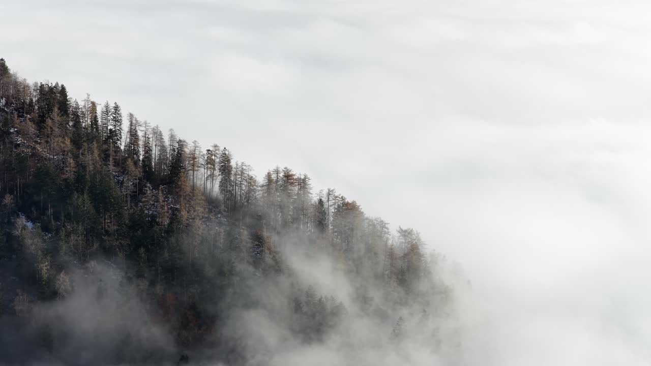 Fog drifts over forested slopes in the Churfirsten mountains during a calm winter morning