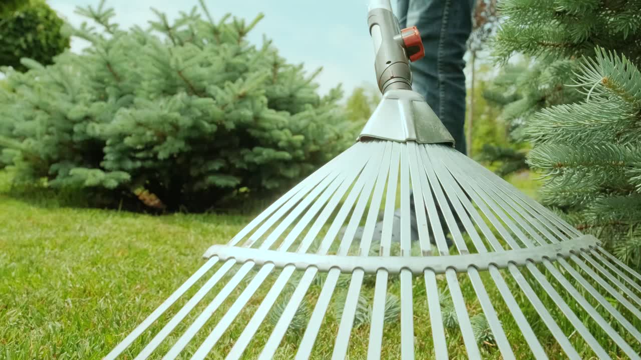 는 과정: 정원사들이 파란색 나무와 소나무를 은 후 을 는.