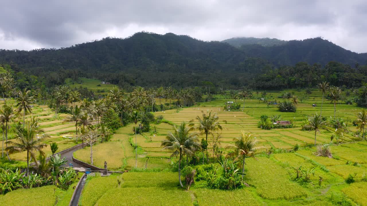 вид с высоты птичьего полета на зеленые сельскохозяйственные угодья под облачным небом рядом с зелеными горами