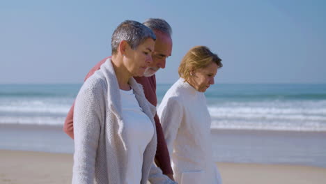 cheerful elderly friends strolling along shore and talking