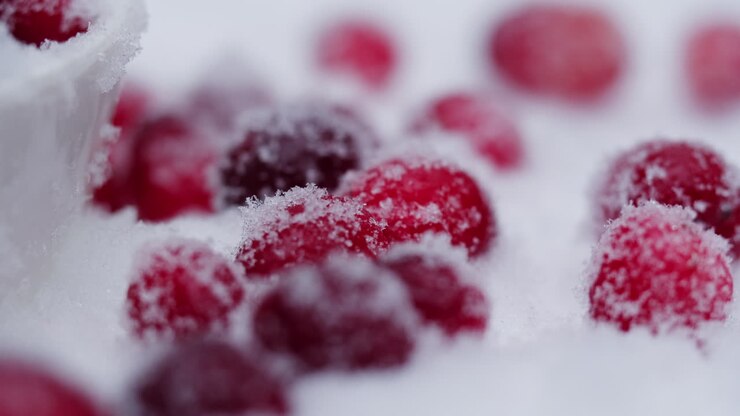 gefrorene cranberries auf schnee