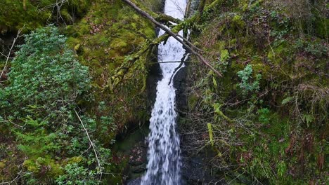 waterfall within lake vyrnwy, wales, united kingdom