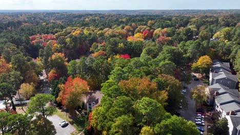 vibrant fall autumn leaves changing color drone flyover of neighborhood