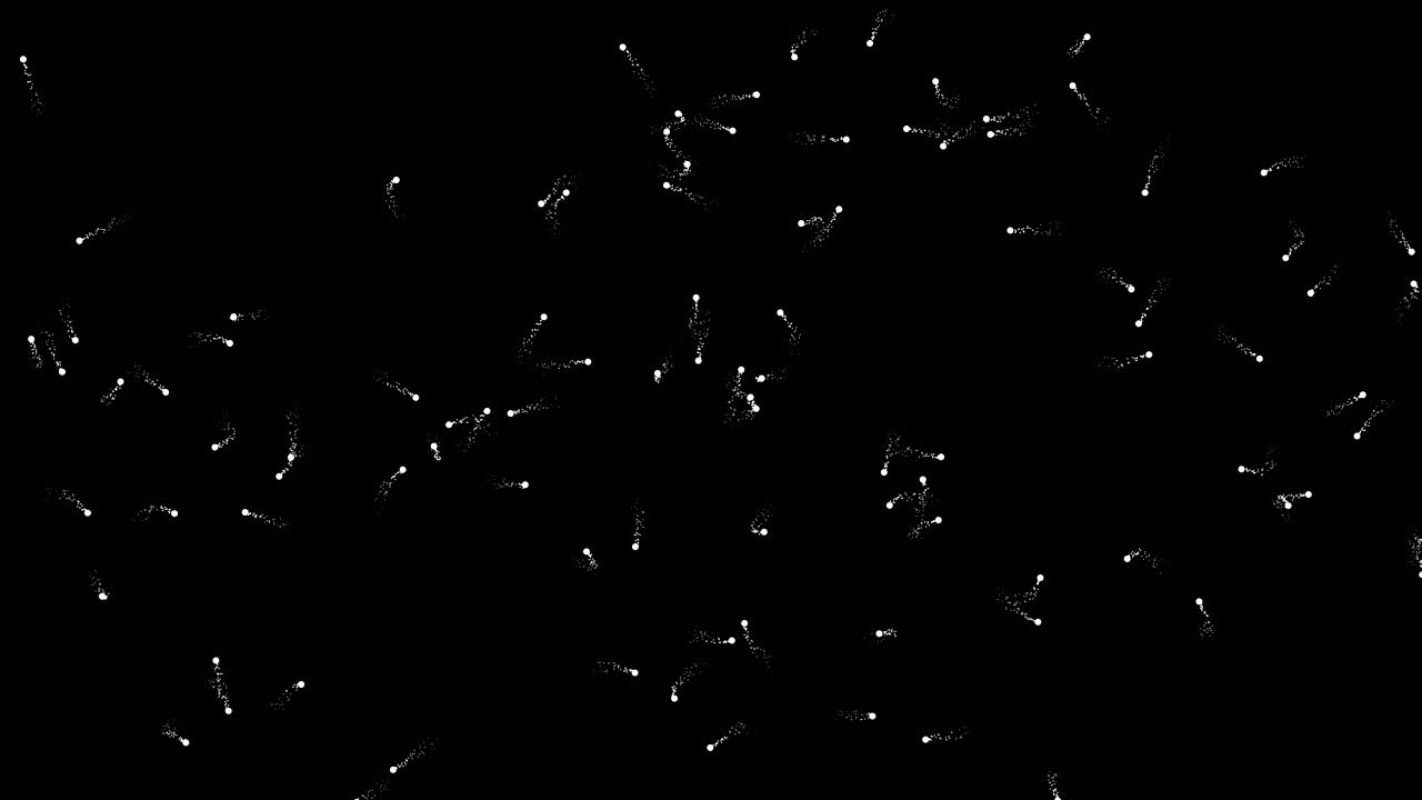 Magic spots motion graphics with night background