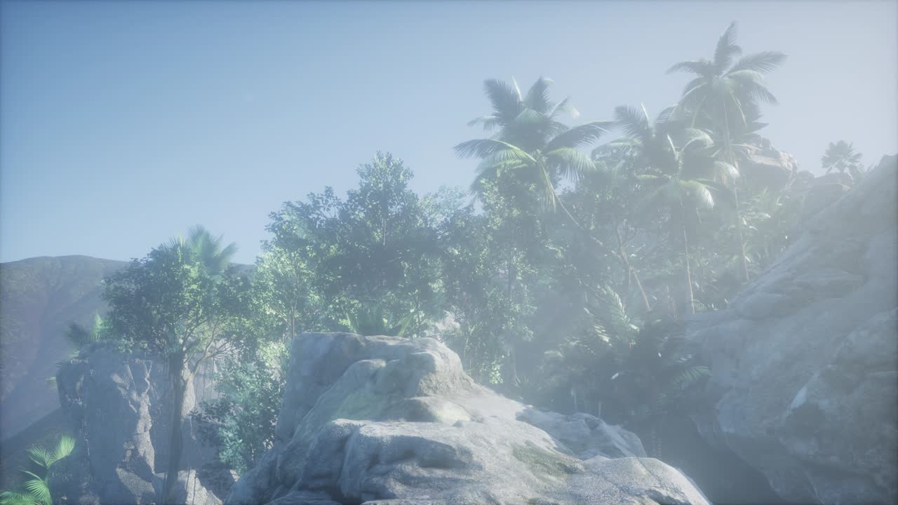 ⁇ 나무 를 가로지르는 해 가 지는 광선