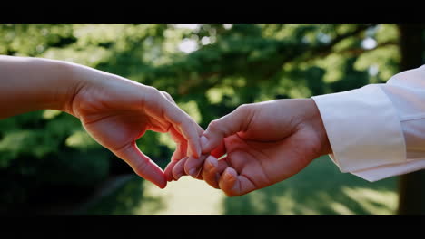couple holding hands in a garden