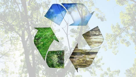 recycling symbol animation over nature scenes with trees and sky