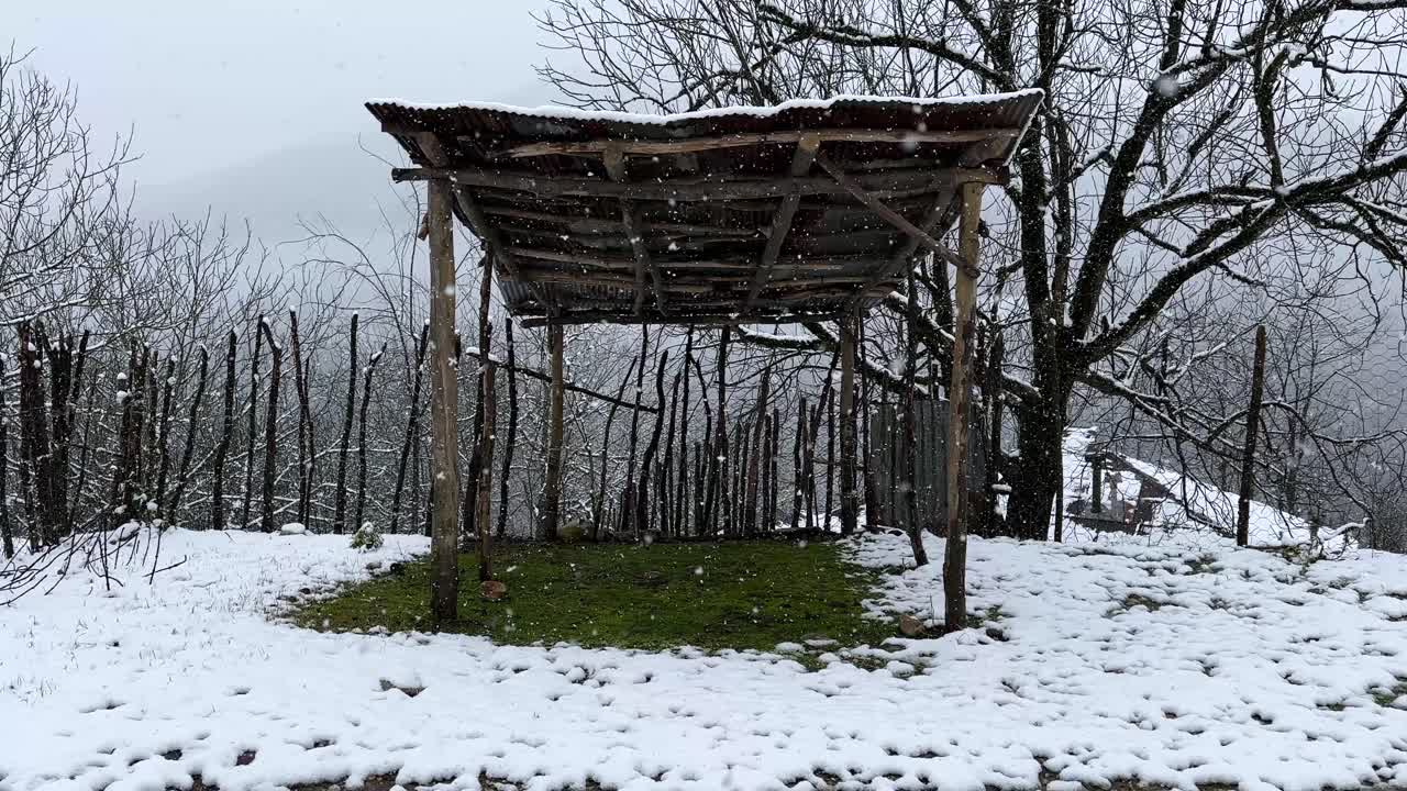 hyrcanian winter oak forest in snowfall rural village wooden shelter snowy roof frost trees untouched landscape aerial drone peaceful nature wilderness scenic serene tranquility rustic countryside