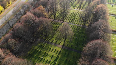 aerial flyover kviberg cemetery surrounded by leafless trees during beautiful sunny day in gothenburg, sweden