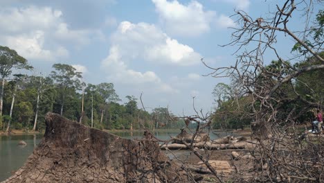 Amplia-Toma-Exterior-De-Lapso-De-Tiempo-Del-Lago-En-Una-Jungla-En-El-Día