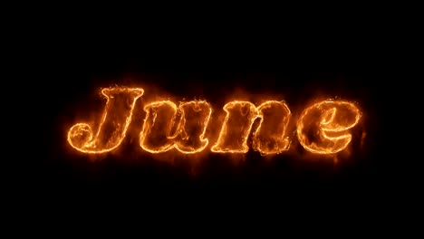 june word hot animated burning realistic fire flame loop.