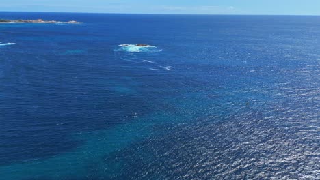 following whales out to sea as they migrate down the coastline of western australia