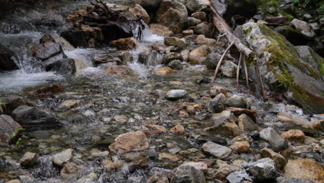 Close-Up-of-a-River-Flowing-Through-a-Forest-in-4K