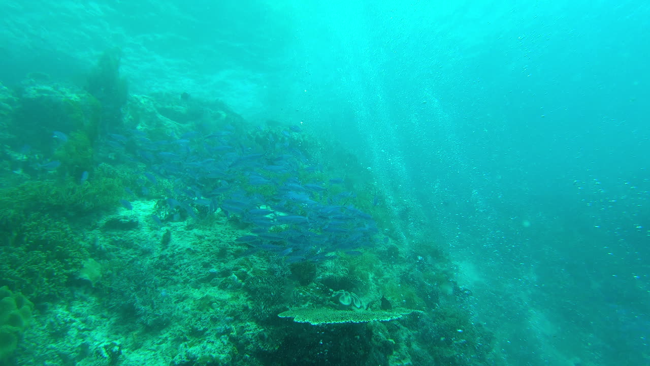 debajo de la superficie es donde se encuentra toda la aventura