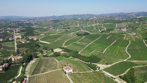 Viñedos-Y-Colinas-En-La-Región-Vinícola-De-Langhe-En-Barolo,-Piamonte,-Italia---Antena-4k