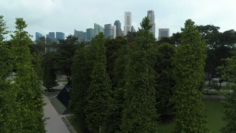 horizonte de la ciudad de singapur con el parque