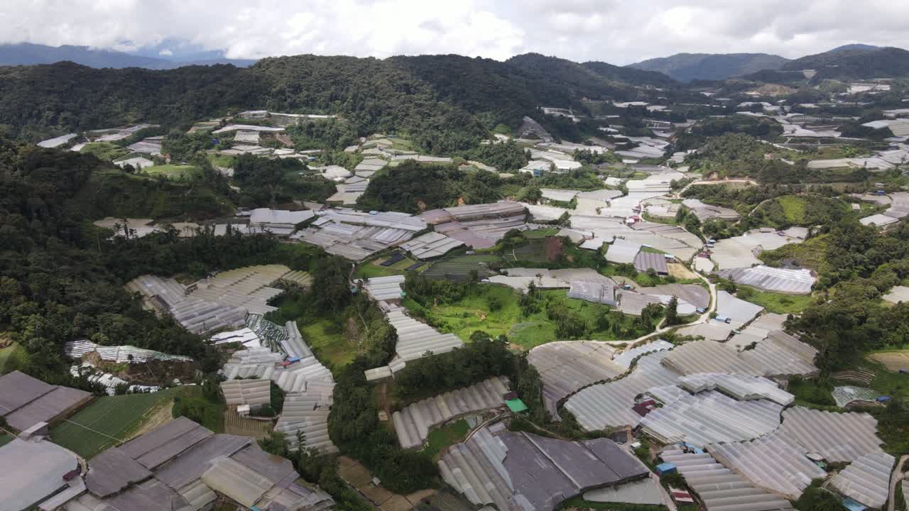 말레이시아의 카메론 하이랜드 지역 내의 브린창 지역의 일반 풍경