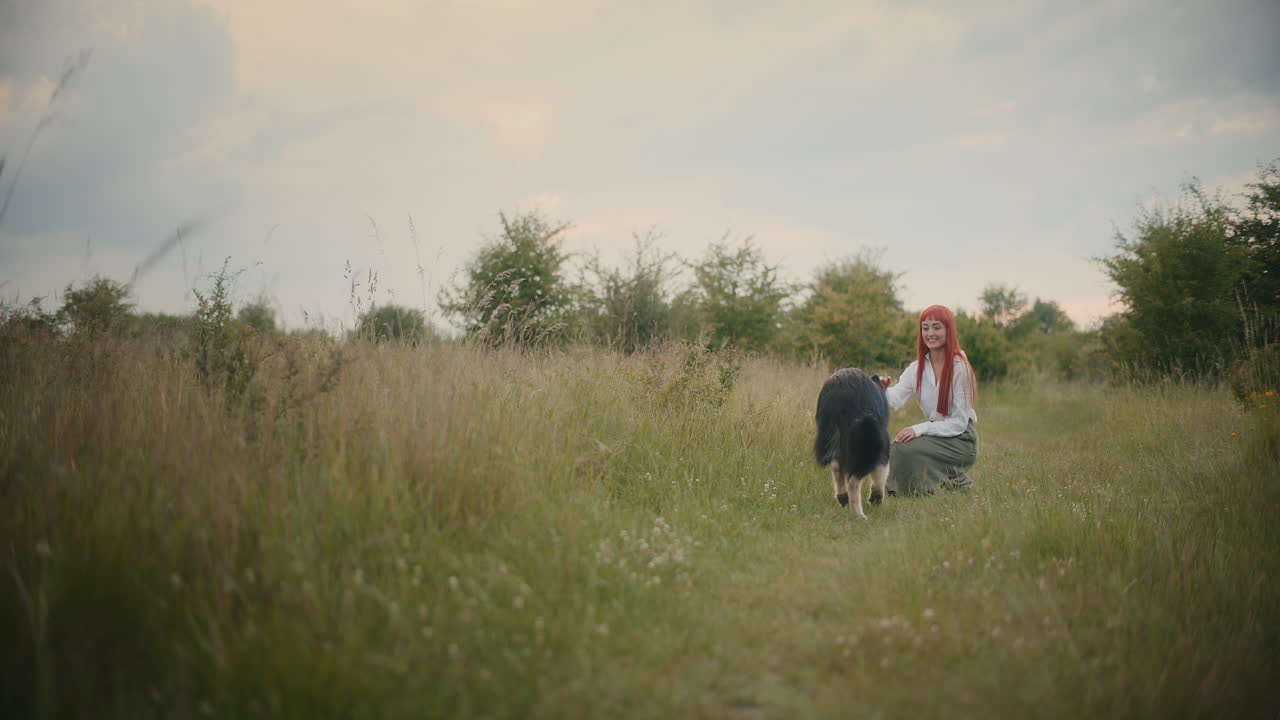 들판 에 있는 개 와 함께 있는 여자