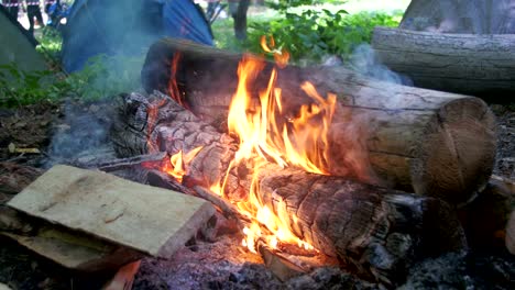 bonfire burns in the camping amidst a tent and logs in the forest