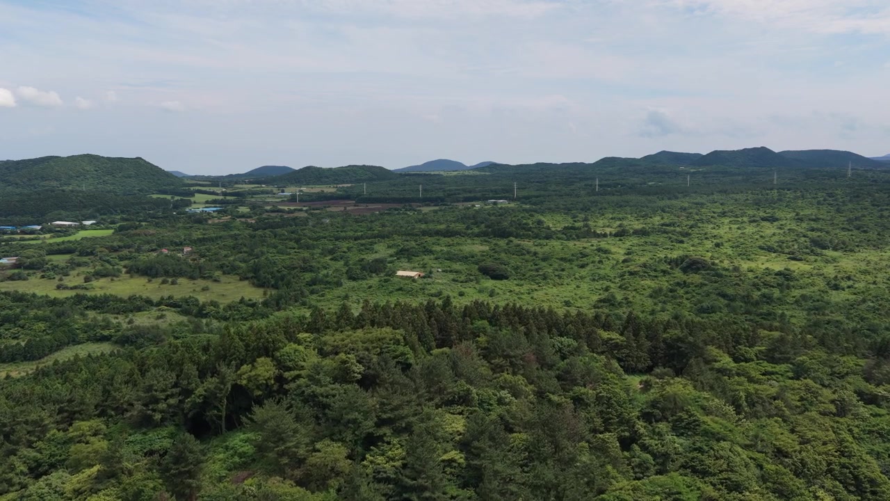 南韓濟州島東部東柏東山濕地的水平空拍畫面，鏡頭緩慢向前推進，展現茂密的綠色森林和遠處的低矮山丘。