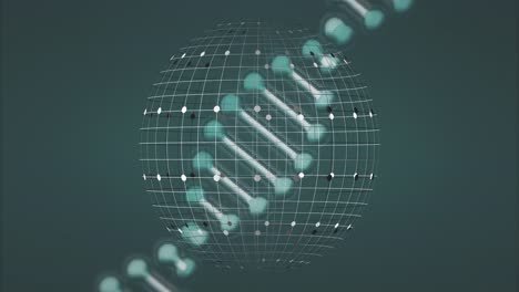 검은 바탕에 dna 줄에 대한 지구의 애니메이션