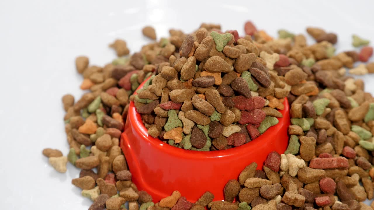 Trockenfutter für Katzen und andere Haustiere. Dreht sich, Studioaufnahme.