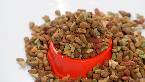 alimento seco para gatos y otras mascotas. rotaciones, tiro de estudio