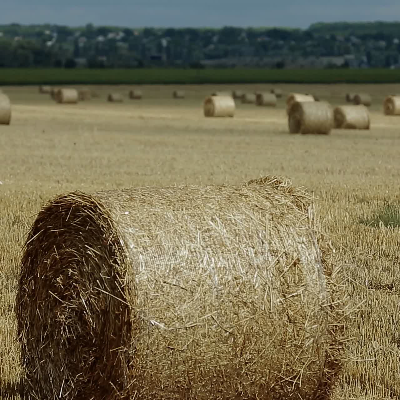 niño relajándose en el campo