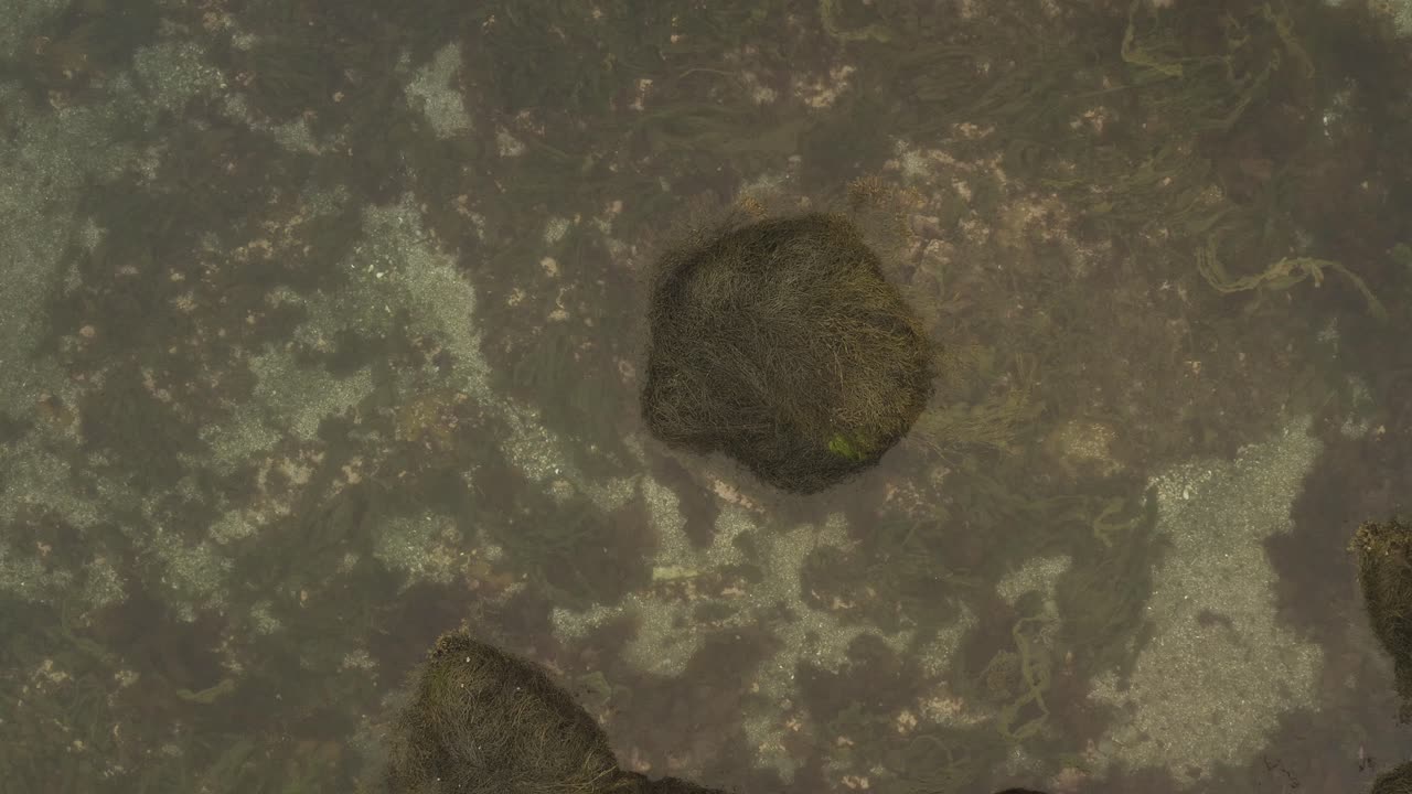 Ascending top down aerial over coastal shoreline sea shore