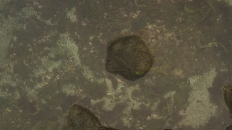 antena de arriba hacia abajo ascendente sobre la costa costera orilla del mar