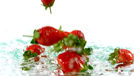 strawberries falling on water