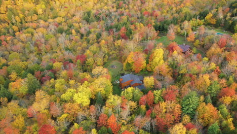 aerial view of hidden countryside houses in colorful forest with flashy foliage