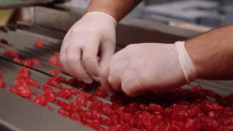 multivitamin supplement jellies spread out by hand - nutraceutical factory