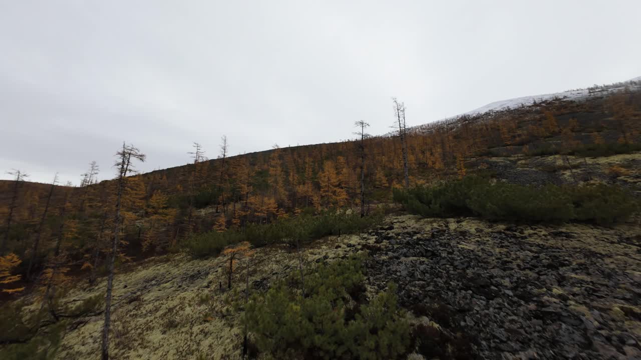 Experience the stunning transformation of mountains adorned in autumn hues from captivating aerial perspectives, highlighting nature's vibrant beauty and tranquility.