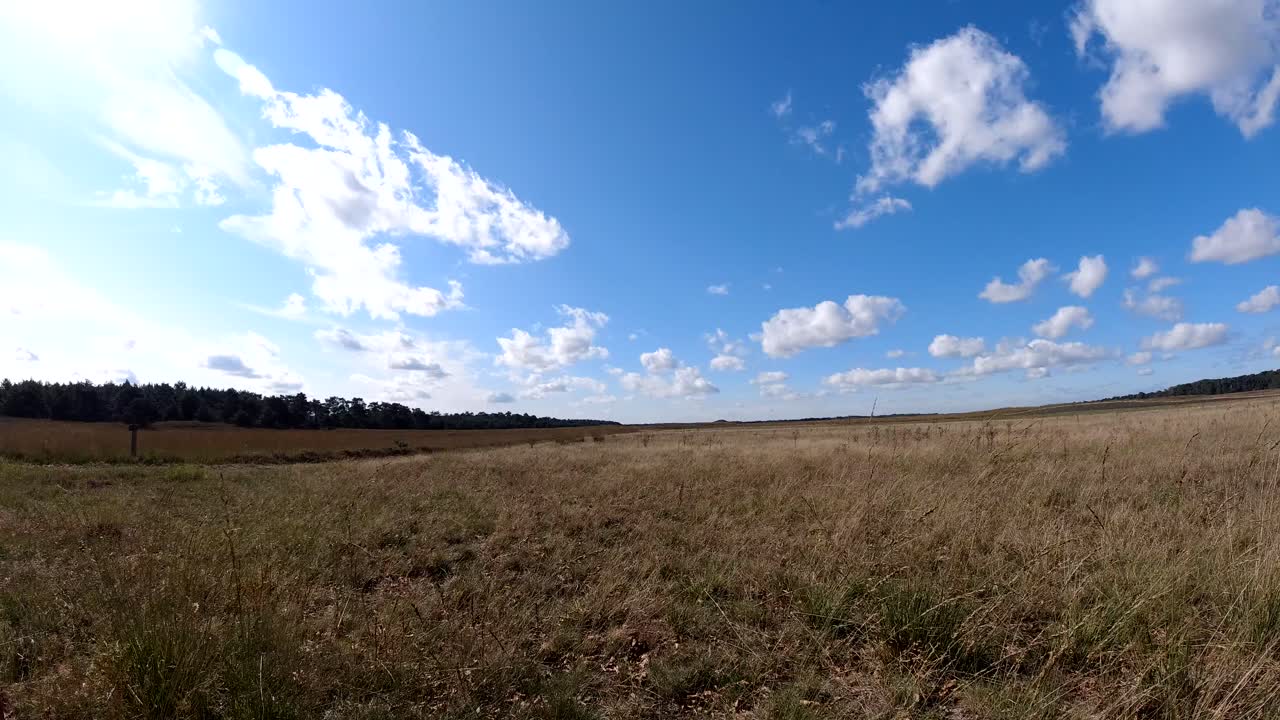 timelapse de nubes corriendo sobre los páramos holandeses en un brillante y soleado día de otoño en el veluwe