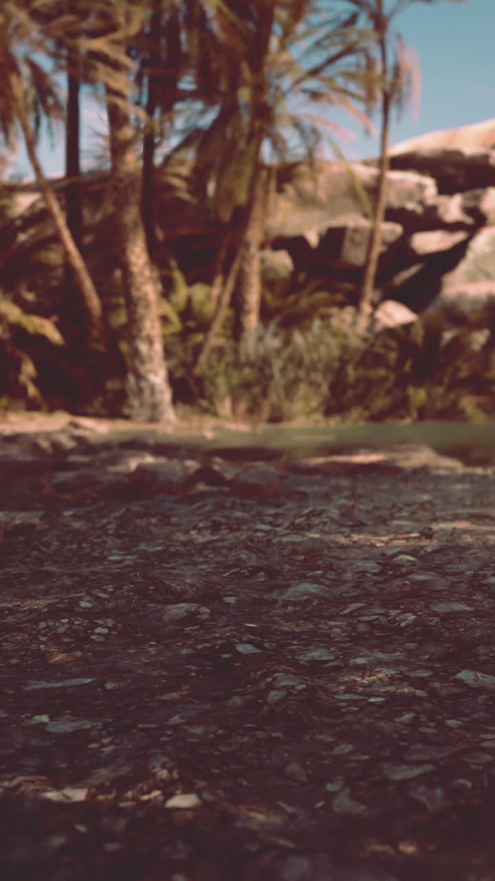 un oasis sereno en el desierto