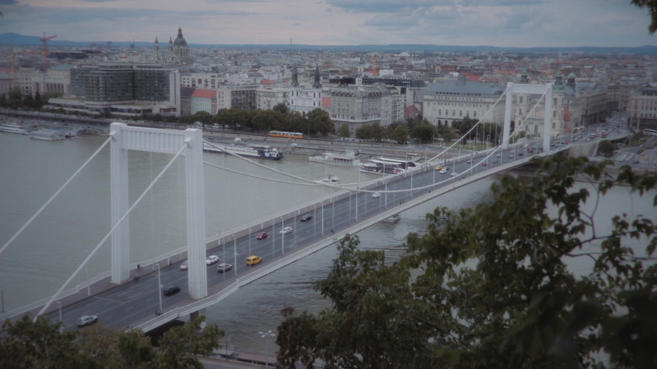 Vista aerea del Ponte Elisabetta sul fiume Danubio a Budapest