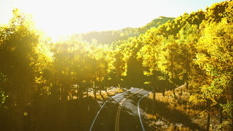 aerial view of curvy road in beautiful autumn forest