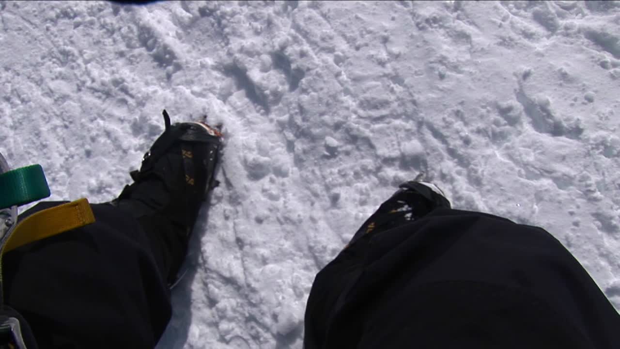 mirando desde lo alto en denali