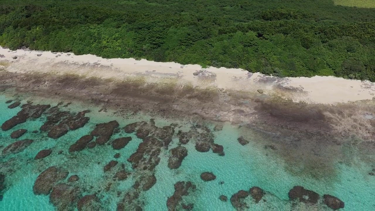 Filmato aereo orizzontale con carrello all'indietro, poi inclinazione verso il basso mentre continua ad allontanarsi su terreni agricoli e la costa vicino alla spiaggia di Musunun, isola di Kurima, Miyakojima, Okinawa, Giappone.