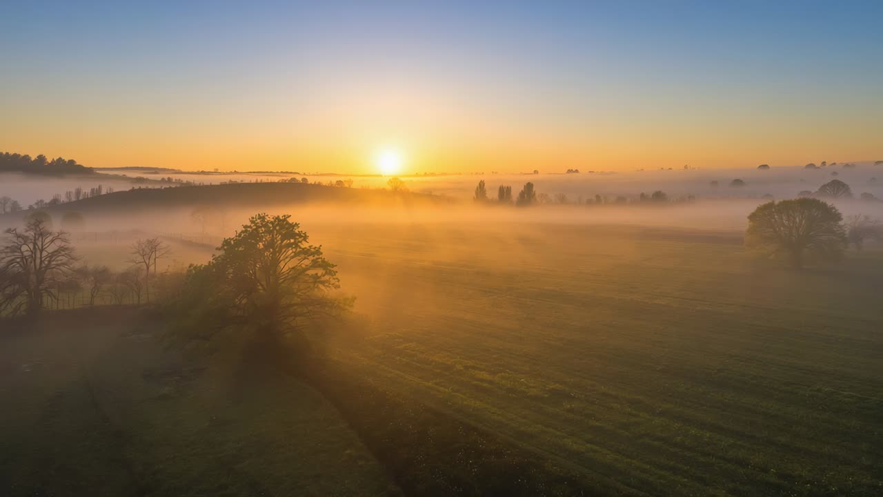 Die aufgehende Sonne erwärmt im Morgengrauen eine neblige Weide, hellt den Nebel auf und lässt die Baumgrenze sowie einen Laubbaum erkennen.
