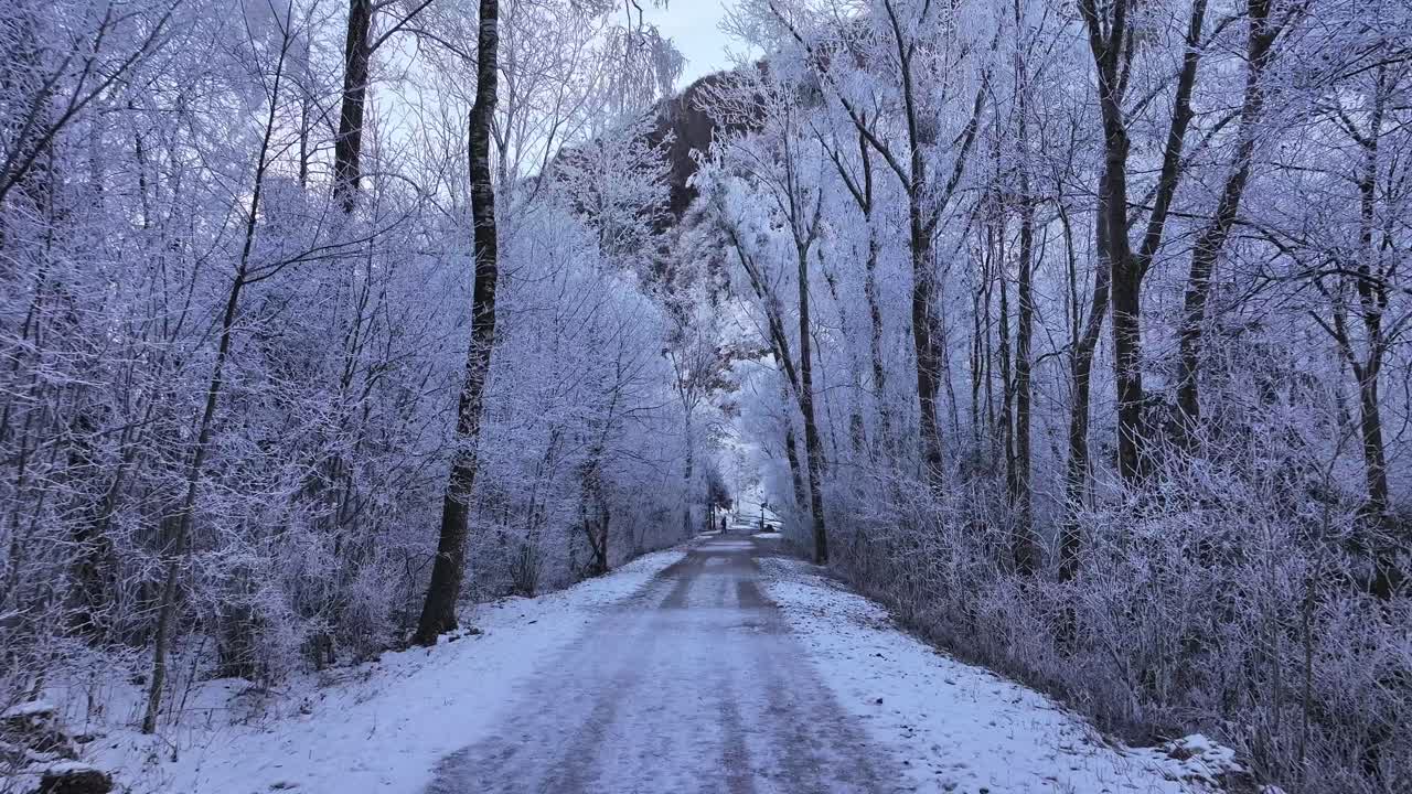 Snowy road through frost-covered forest near Walensee, Switzerland, peaceful winter wonderland.