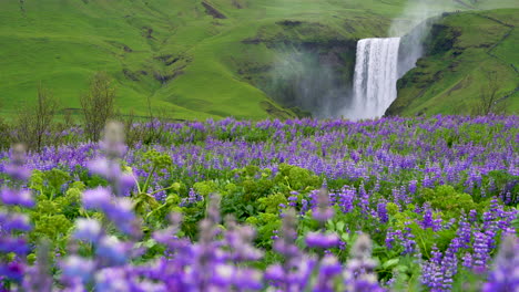 Cascada-De-Skogafoss-En-Islandia-En-Verano.