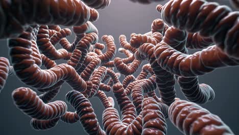 ilustración en 3d de las bacterias
