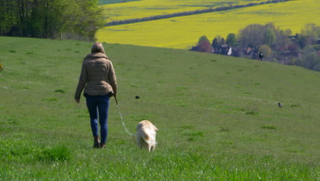 Reife-Frau,-Die-Mit-Hund-Auf-Dem-Land-Spazieren-Geht,-Aufgenommen-Auf-R3D