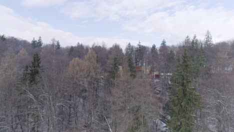 aerial view of forest in romania