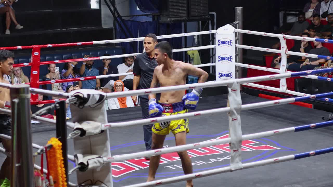 숙련된 싸움들과 치열한 박싱 경기