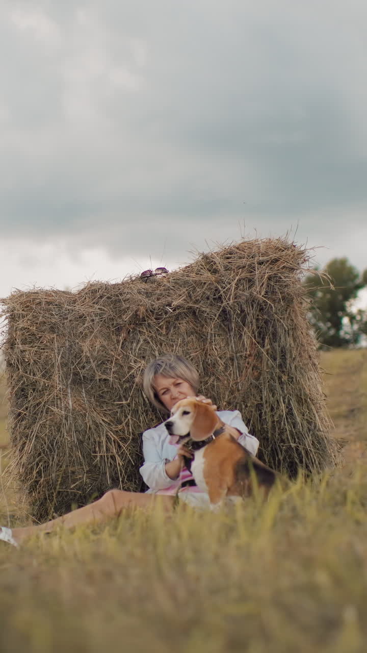 선글라스를 입고 캐주얼 옷을 입은 중년 여성은 시골의 풀에 앉아 개 머리, 황금 잔디, 언덕, 구름이 많은 하늘을 부드럽게 문지르고 있습니다.