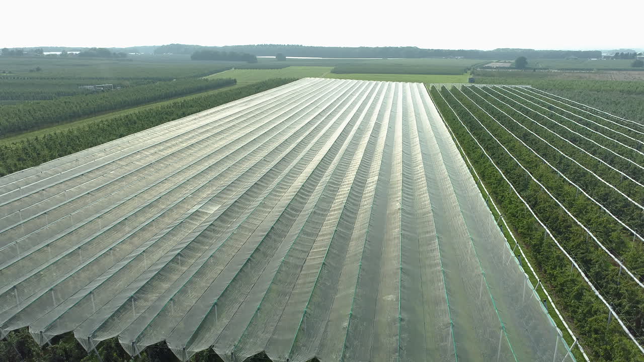 낮 동안 과수원 위로 공중 상승 샷